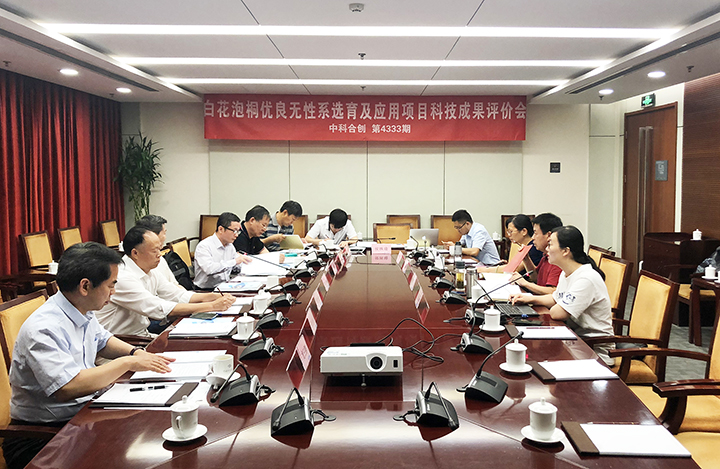 白花泡桐优良无性系选育及应用 anli.jpg